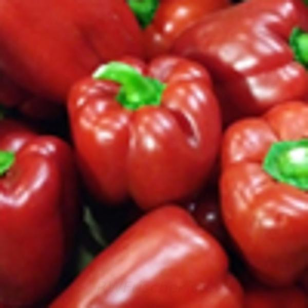 Produktfoto zu Paprika rot D