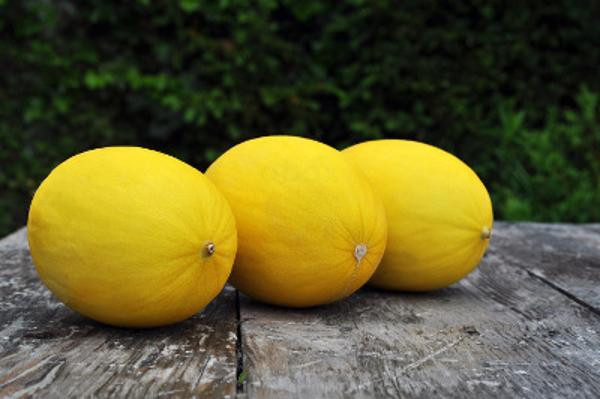 Produktfoto zu Canari Honigmelone ca. 1kg_St