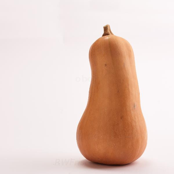 Produktfoto zu Butternut Kürbis