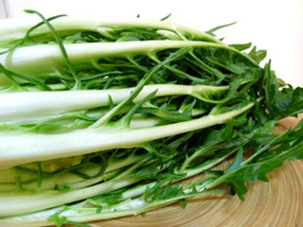 Produktfoto zu Puntarelle