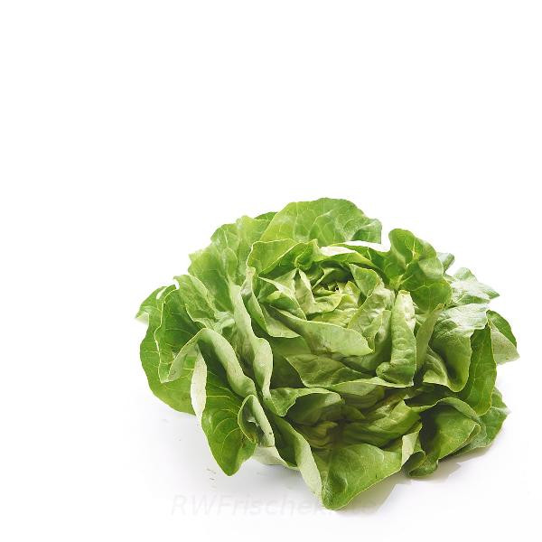 Produktfoto zu Kopfsalat grün