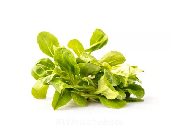 Produktfoto zu Feldsalat