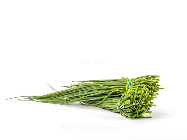 Produktfoto zu Schnittlauch