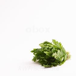 Produktfoto zu Rucola lose