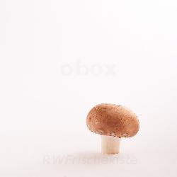 Produktfoto zu Steinchampignon