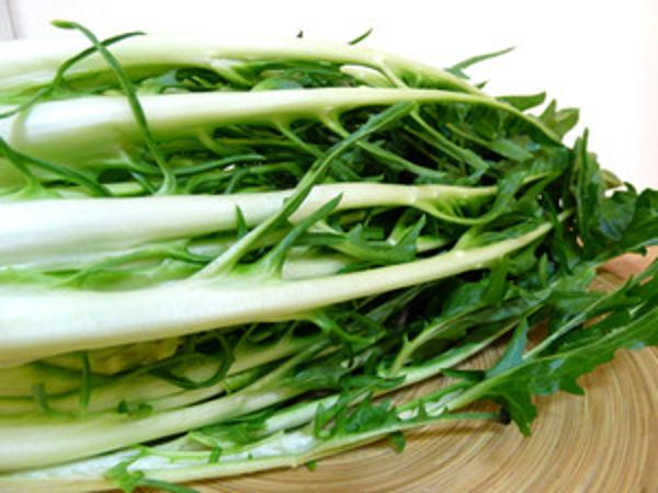 Produktfoto zu Puntarelle