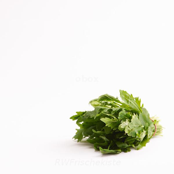 Produktfoto zu Rucola Bund