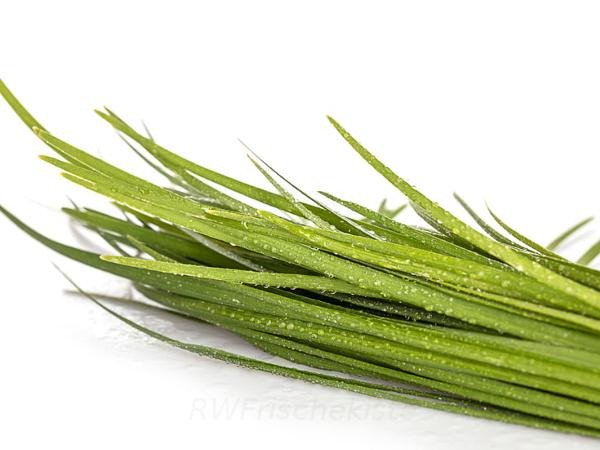 Produktfoto zu Schnittknoblauch