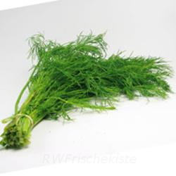 Produktfoto zu Dill